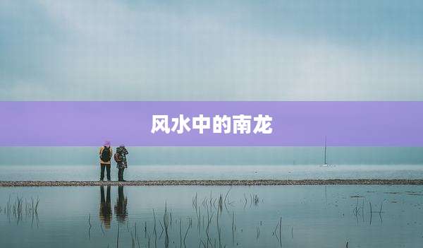风水中的南龙