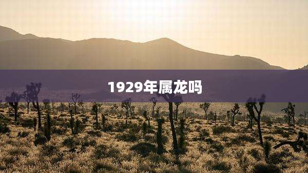 1929年属龙吗