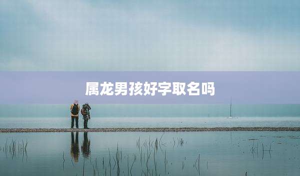 属龙男孩好字取名吗