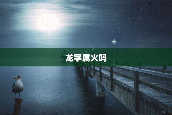 龙字属火吗