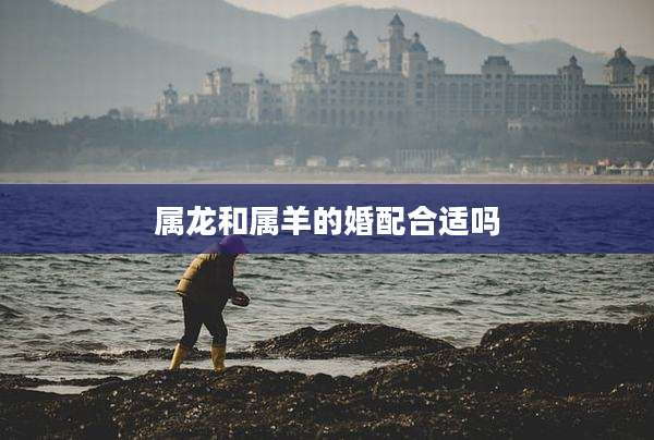 属龙和属羊的婚配合适吗