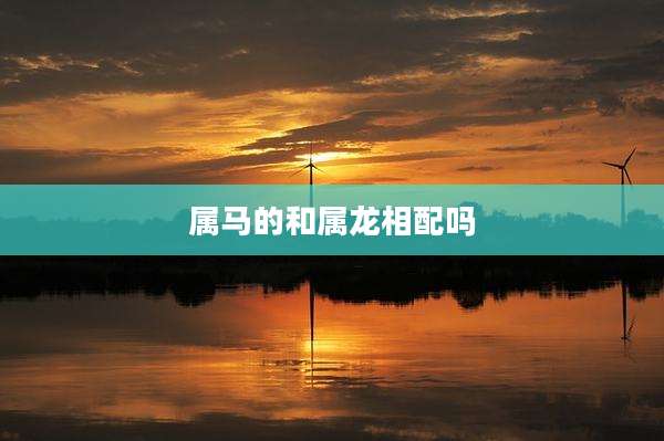 属马的和属龙相配吗