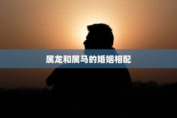 属龙和属马的婚姻相配