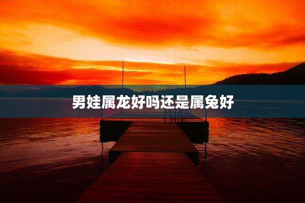 男娃属龙好吗还是属兔好