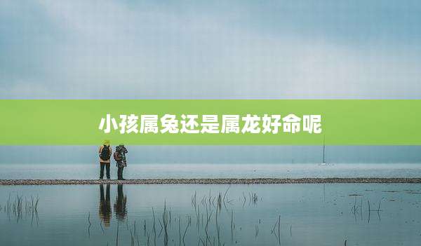 小孩属兔还是属龙好命呢