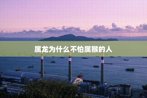 属龙为什么不怕属猴的人