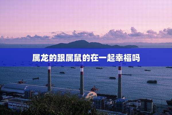 属龙的跟属鼠的在一起幸福吗