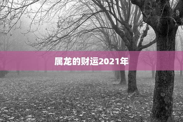 属龙的财运2021年