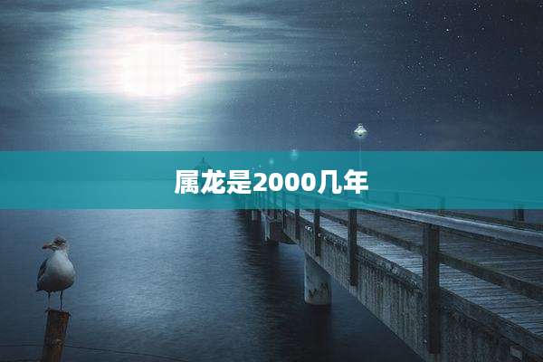 属龙是2000几年