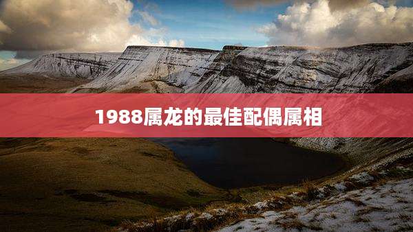 1988属龙的最佳配偶属相