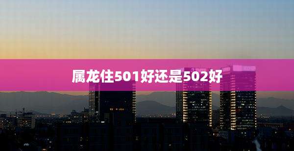 属龙住501好还是502好