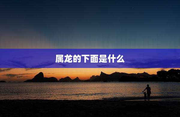 属龙的下面是什么