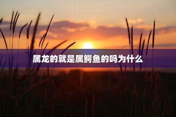 属龙的就是属鳄鱼的吗为什么