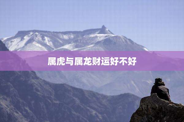 属虎与属龙财运好不好