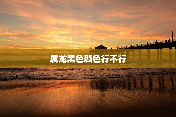 属龙黑色颜色行不行