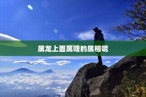 属龙上面属啥的属相呢