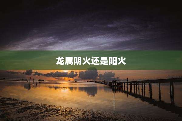龙属阴火还是阳火