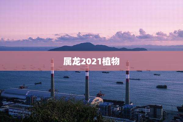 属龙2021植物