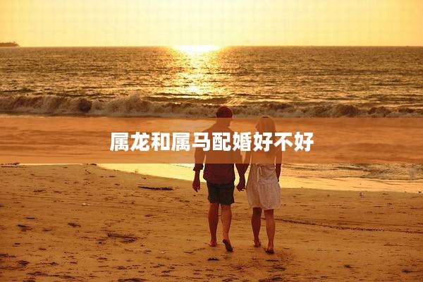属龙和属马配婚好不好