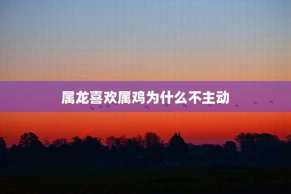 属龙喜欢属鸡为什么不主动
