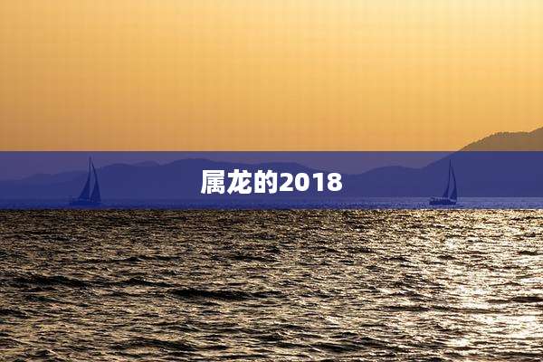 属龙的2018