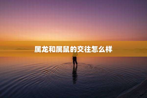 属龙和属鼠的交往怎么样