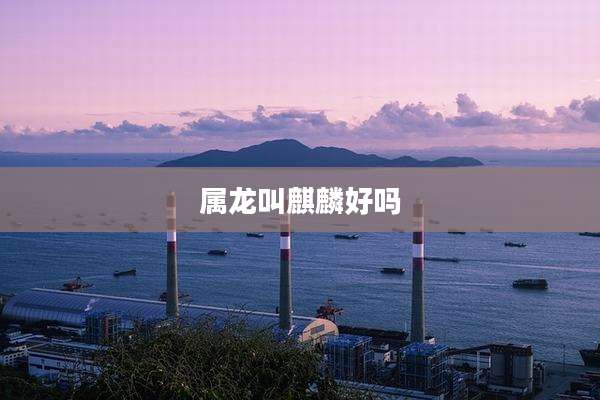 属龙叫麒麟好吗