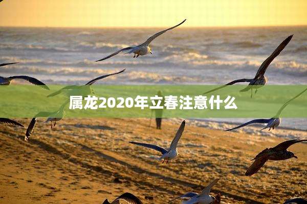 属龙2020年立春注意什么