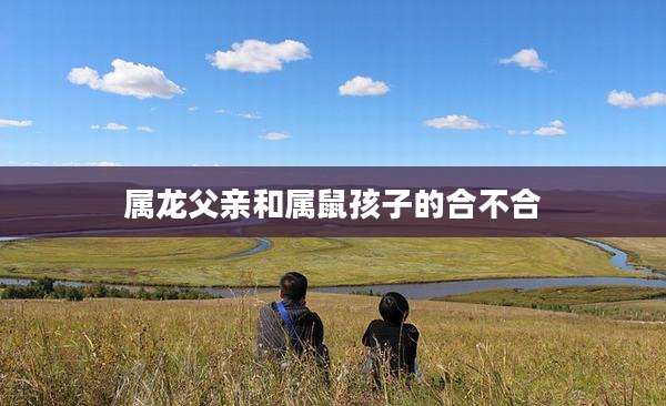 属龙父亲和属鼠孩子的合不合