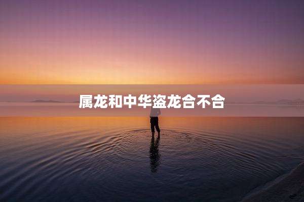属龙和中华盗龙合不合