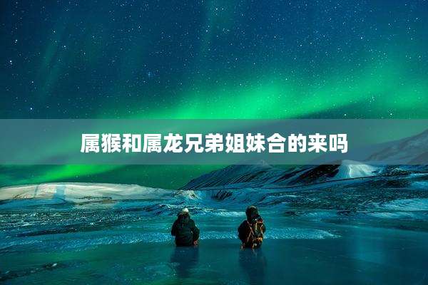 属猴和属龙兄弟姐妹合的来吗