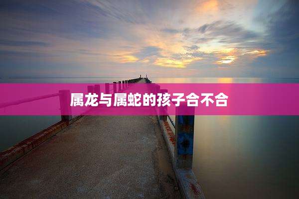 属龙与属蛇的孩子合不合