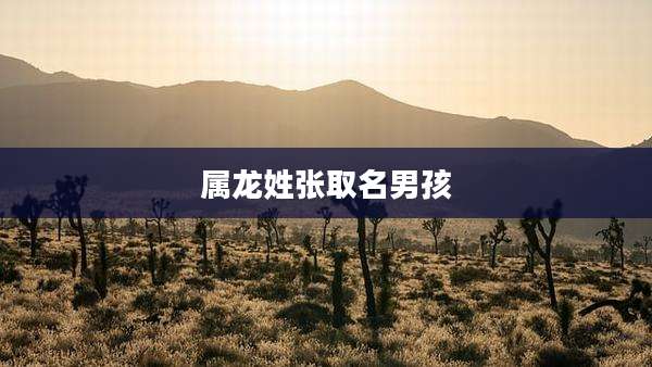 属龙姓张取名男孩
