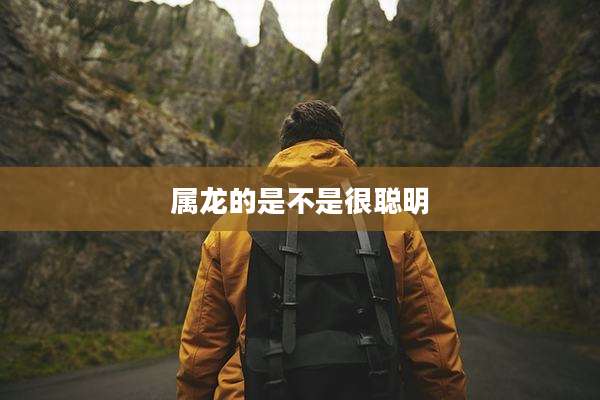 属龙的是不是很聪明