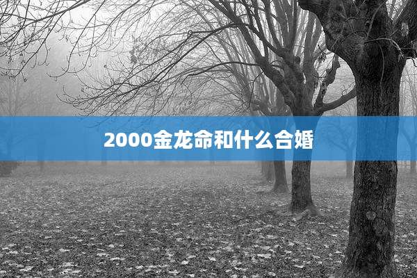 2000金龙命和什么合婚