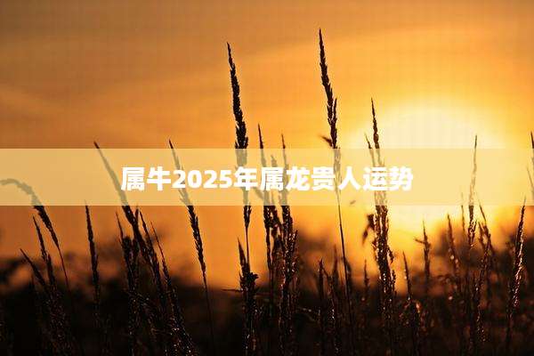 属牛2025年属龙贵人运势