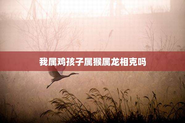 我属鸡孩子属猴属龙相克吗
