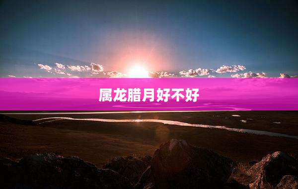 属龙腊月好不好