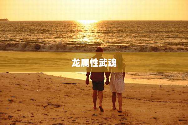 龙属性武魂