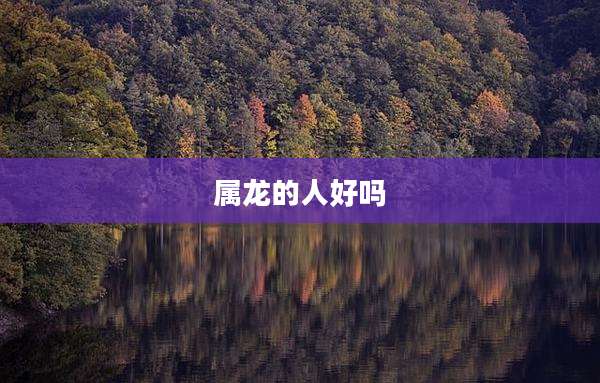 属龙的人好吗