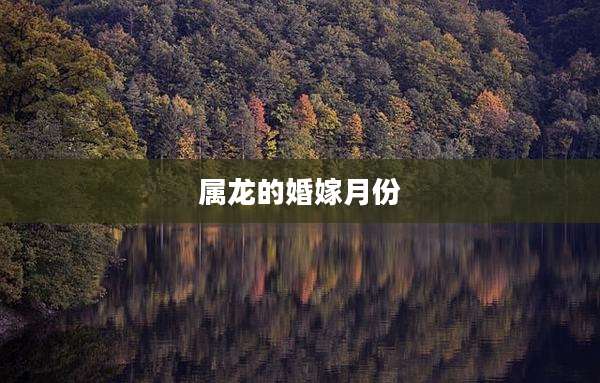 属龙的婚嫁月份