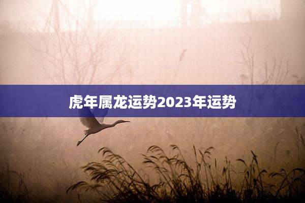 虎年属龙运势2023年运势