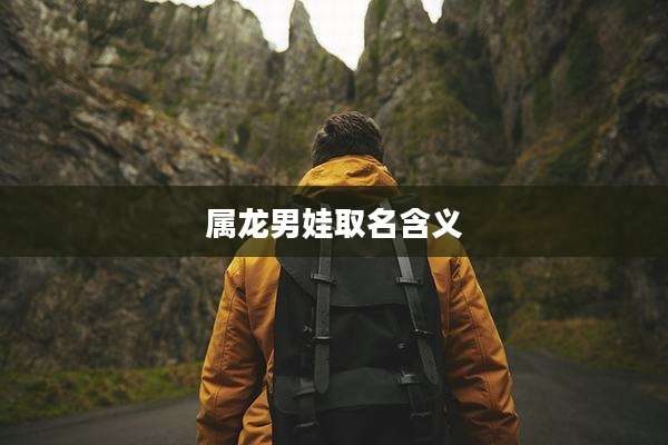 属龙男娃取名含义