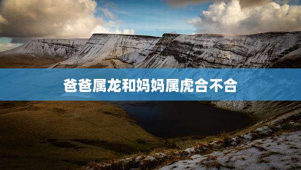 爸爸属龙和妈妈属虎合不合