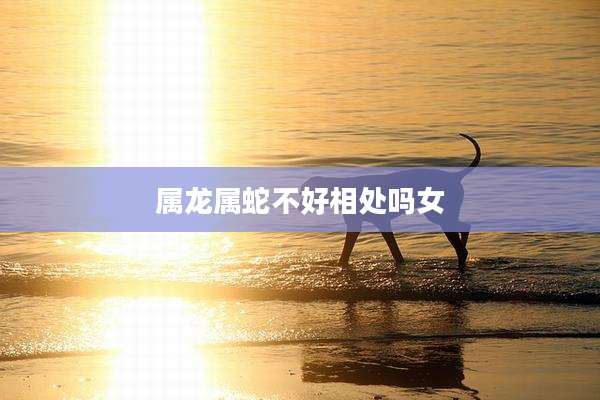 属龙属蛇不好相处吗女