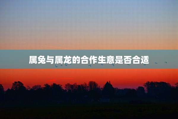 属兔与属龙的合作生意是否合适