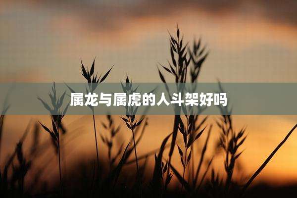属龙与属虎的人斗架好吗