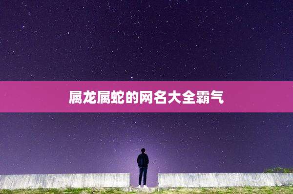 属龙属蛇的网名大全霸气