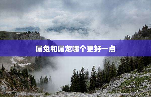 属兔和属龙哪个更好一点