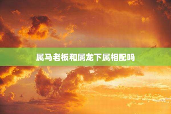 属马老板和属龙下属相配吗